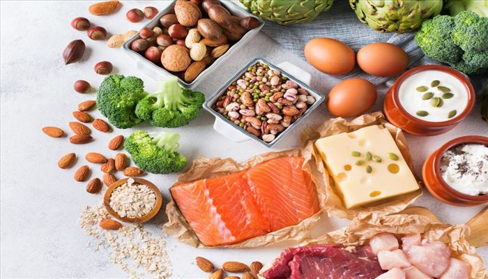 تفاوت بین پروتئین حیوانی و گیاهی چیست؟