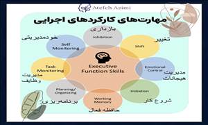 کارکردهای اجرایی مغز