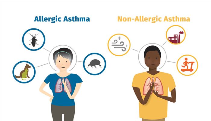 آسم آلرژیک، علل، تشخیص و درمان